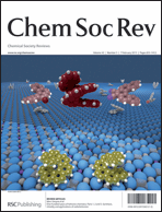Cover Picture in Chem. Soc. Rev. 2013.