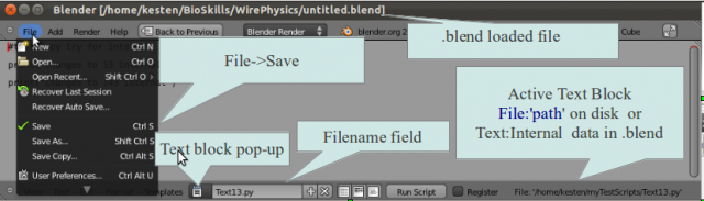 Fig 1. Blender Main Menu and Text Editor